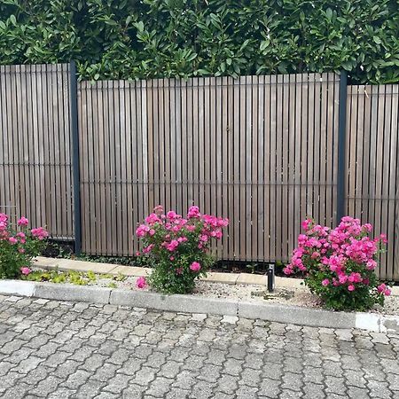 Roses Apartment Prijeten Apartma Za Dve Osebi Mengeš Esterno foto