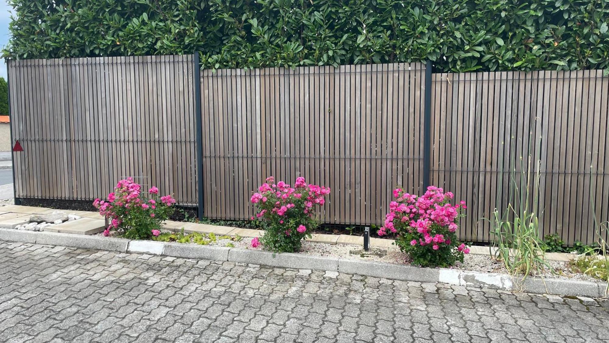 Roses Apartment Prijeten Apartma Za Dve Osebi Mengeš Esterno foto