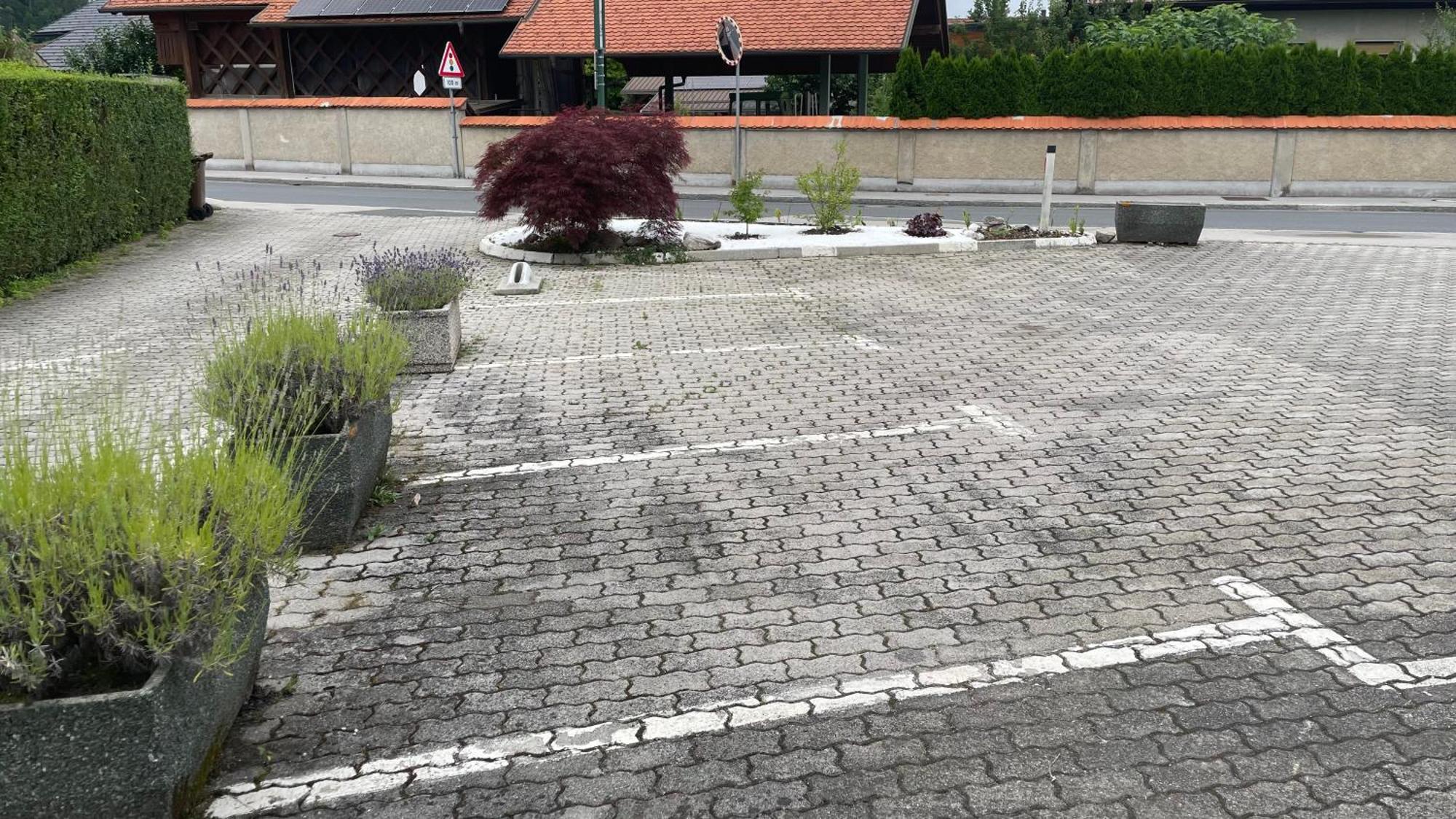 Roses Apartment Prijeten Apartma Za Dve Osebi Mengeš Esterno foto