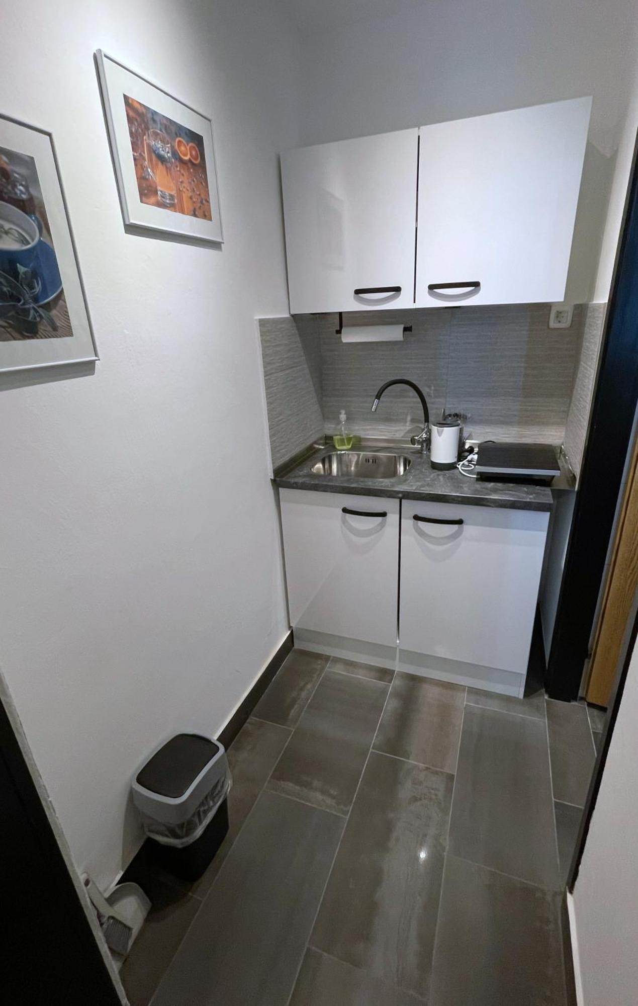 Roses Apartment Prijeten Apartma Za Dve Osebi Mengeš Esterno foto